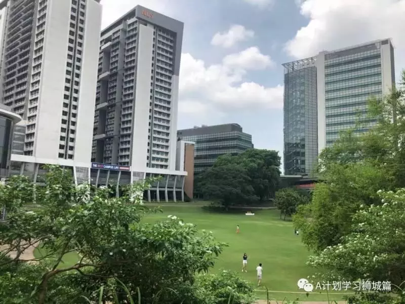 《新加坡》國大探討加重校內「」性罪「」行處分 犯嚴重罪行學生將「」開除「」