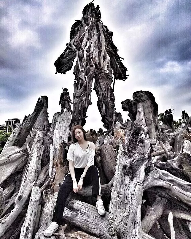 桃園景點|風禾公園|漂流木秘境讓你彷彿走進科幻場景!