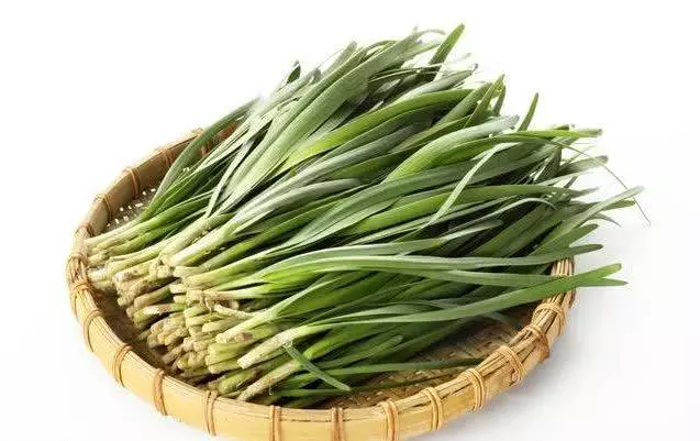 韭菜營養豐富對健康好處多,但醫生說這4類人不宜多吃,不妨了解 !