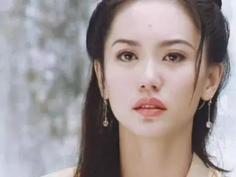 在中國撈金的11個新加坡明星,我一直以為他們是台灣人~