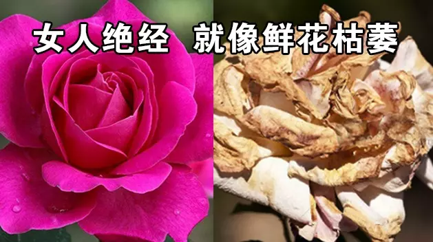 【精華】教你簡單一招養顏抗衰,當晚見效,90天回春逆生長!絕經閉經、月經不調、更年期、早衰必看!