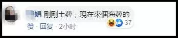 《神經病》「」巫裔「」新人(婚紗照)讓人笑不停 「女鬼搶新郎」「無敵大綠帽」最經典!