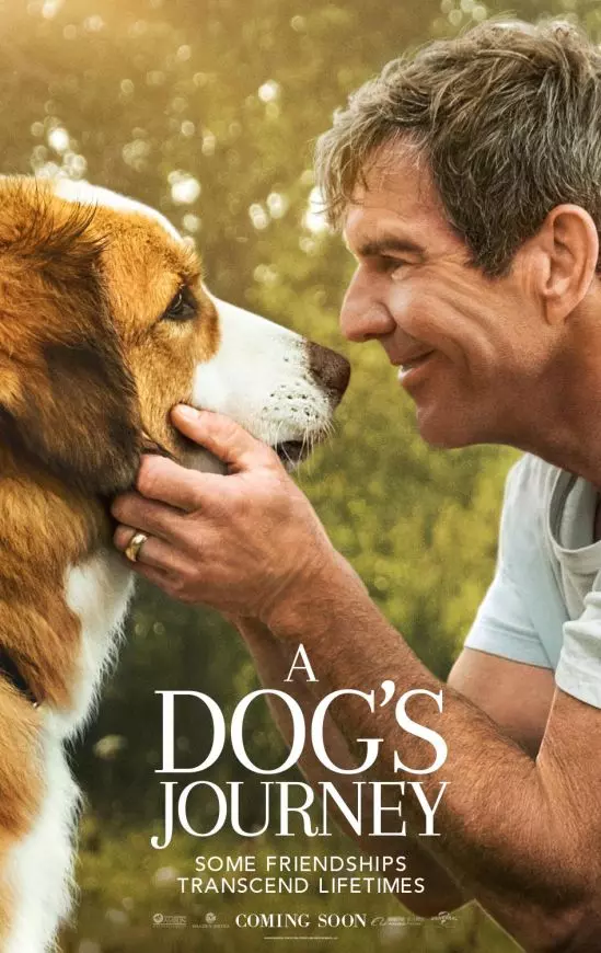 【準備好tissue!】今年5月份必看電影《A Dog’s Journey 2》!
