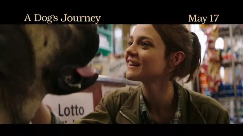 【準備好tissue!】今年5月份必看電影《A Dog’s Journey 2》!