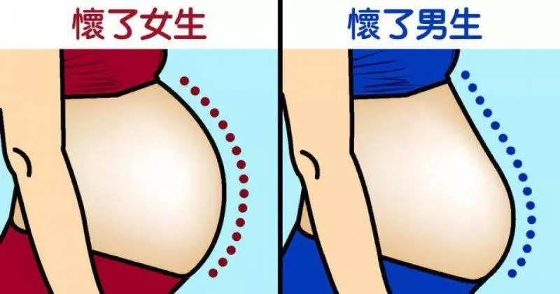 你肯定沒看過的「奇趣知識」這些都是連教科書都不敢寫的18個「奇趣知識」#你信不信你的肚臍比馬桶還髒!