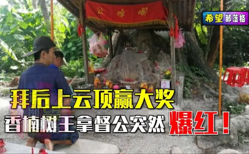 拜後上雲頂贏大獎!香楠樹王拿督公突然爆紅。