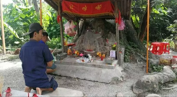 拜後上雲頂贏大獎!香楠樹王拿督公突然爆紅。