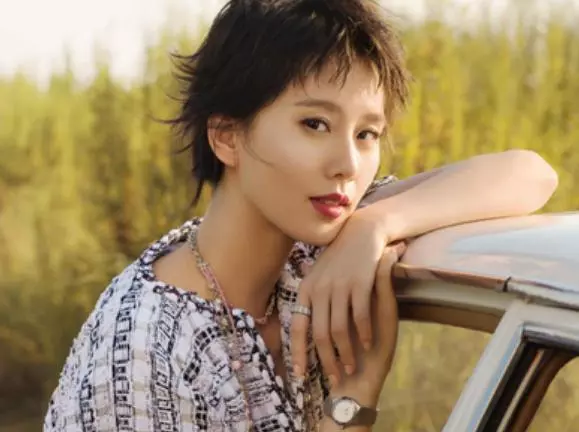 同樣是臺灣的婆婆,賈靜雯婆婆,劉詩詩婆婆,差距一目了然
