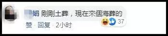 巫裔新人婚紗照讓人笑不停 「女鬼搶新郎」「無敵大綠帽」最經典!