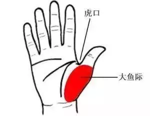 【健康】肝好不好,主要看這4個標誌!(內附護肝調理方)