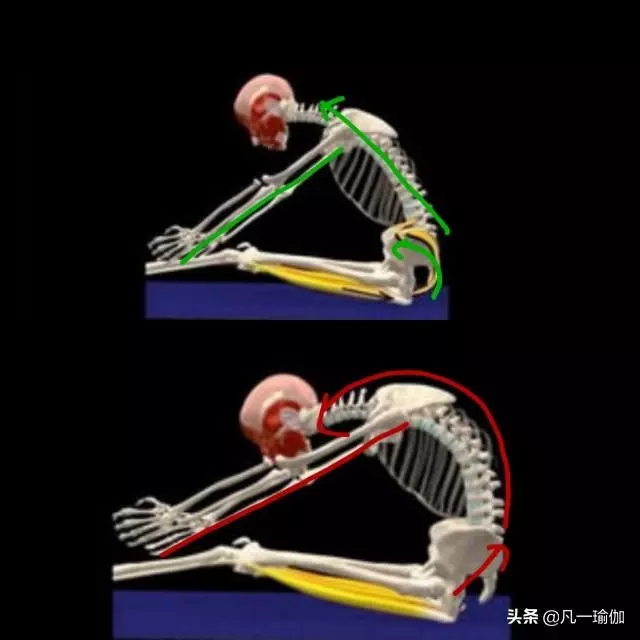 腿部僵硬不靈活?坐位體前屈不及格?3個動作讓你拿滿分