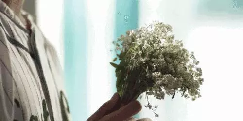 女人幾月份出生,就有什麼樣的性格和人生