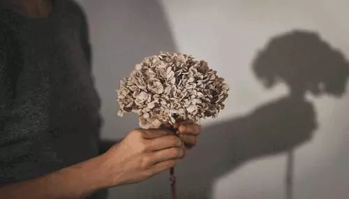 女人幾月份出生,就有什麼樣的性格和人生