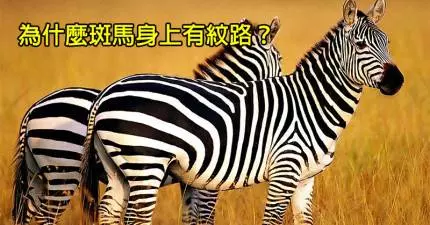 16個讓你「IQ立刻上升10倍」的驚奇秘密知識,不用謝囉!