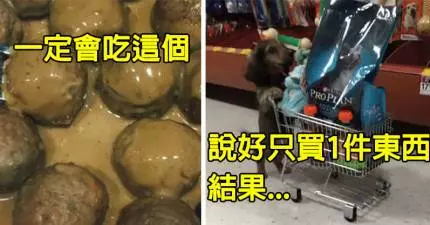 25張超中肯爆笑現象證明為什麼「你絕對不該走進IKEA賣場」。