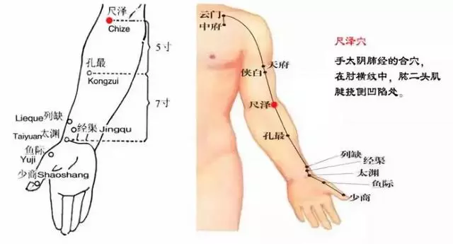 這幾個穴位,是人體的「天然藥房」