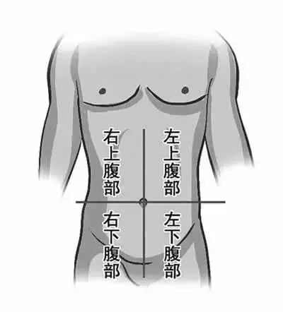 中醫:肚子軟如綿,百病都不纏