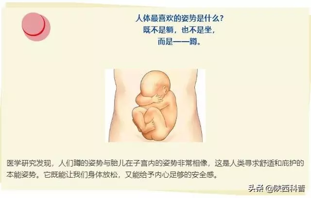 下蹲5分鐘=步行1小時!每天3次,抗衰、降脂、強筋骨…
