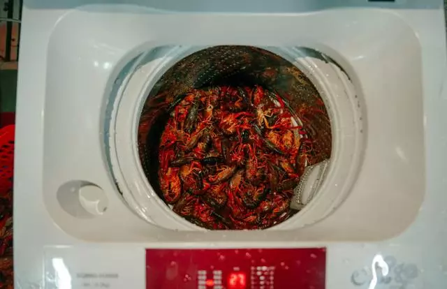 小哥用「洗衣機」洗小龍蝦,本以為是悲劇,結局讓飯店老闆都笑了