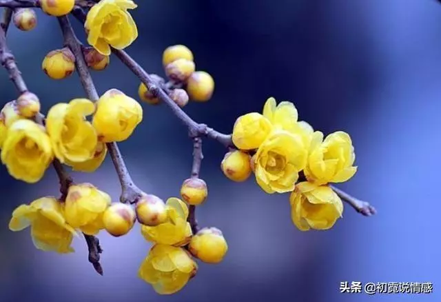 人品不好的人,根本藏不住,遇到就躲遠些