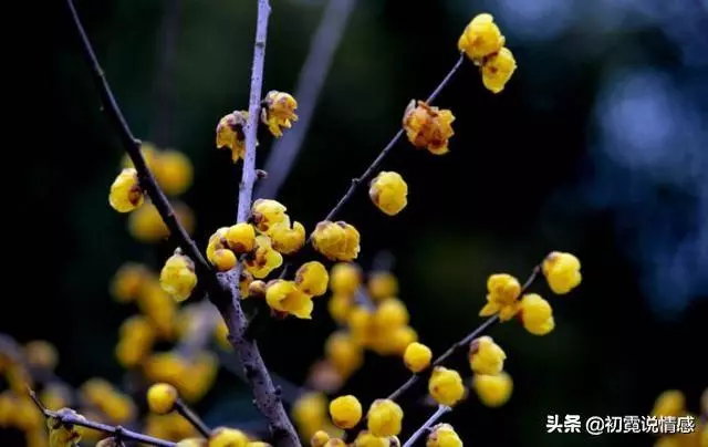 人品不好的人,根本藏不住,遇到就躲遠些