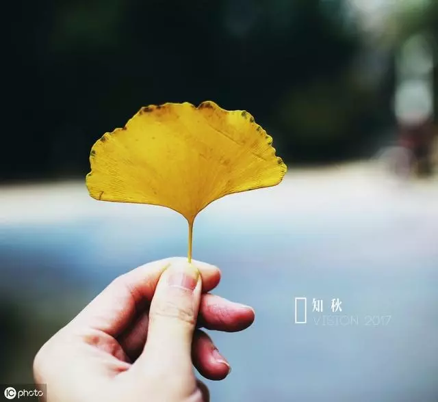 堅持以下做法,讓你的生活比現在有趣10倍!