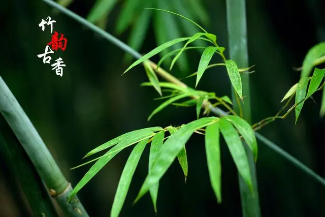 人到中年,只要占了二條,一定可以大器晚成,不成功都難(經典)