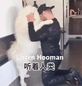 網友集體做了一個試驗,證明狗子的心裡只有你