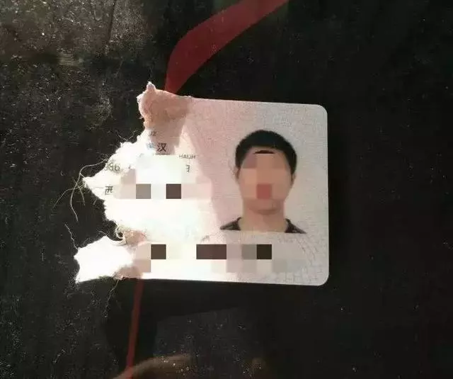 狗狗最怕什麼?出門30分鐘後你就知道了