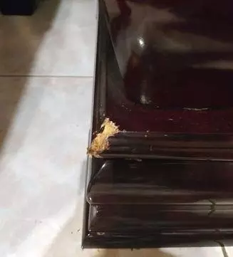 狗狗最怕什麼?出門30分鐘後你就知道了