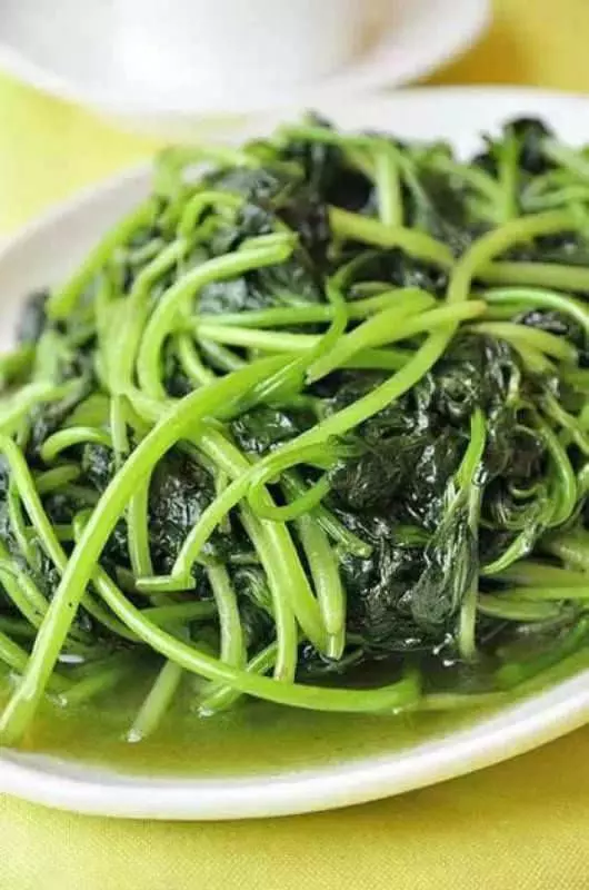 經常吃長壽菜(番薯葉),淨化血液,提高免疫力,男女都適合吃