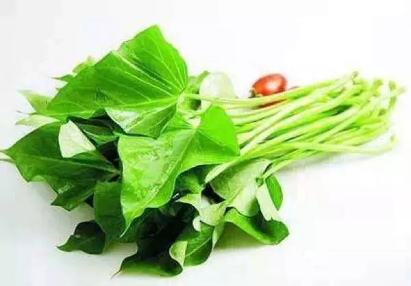 經常吃長壽菜(番薯葉),淨化血液,提高免疫力,男女都適合吃