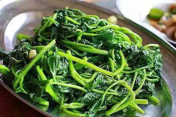經常吃長壽菜(番薯葉),淨化血液,提高免疫力,男女都適合吃