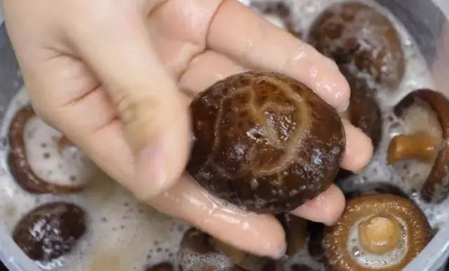 泡發香菇,十個人九人都錯了,飯店廚師長用這個方法,三分鐘全泡開,一招搞定