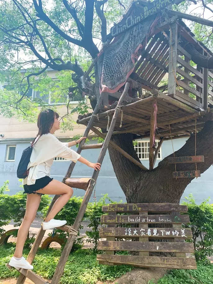 【新竹市景點】鄰近新竹科學園區熱鬧的光復路裡隱藏‧童年的秘密基地‧晴心樹屋‧飛行樹屋咖啡