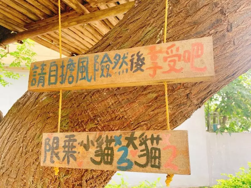 【新竹市景點】鄰近新竹科學園區熱鬧的光復路裡隱藏‧童年的秘密基地‧晴心樹屋‧飛行樹屋咖啡