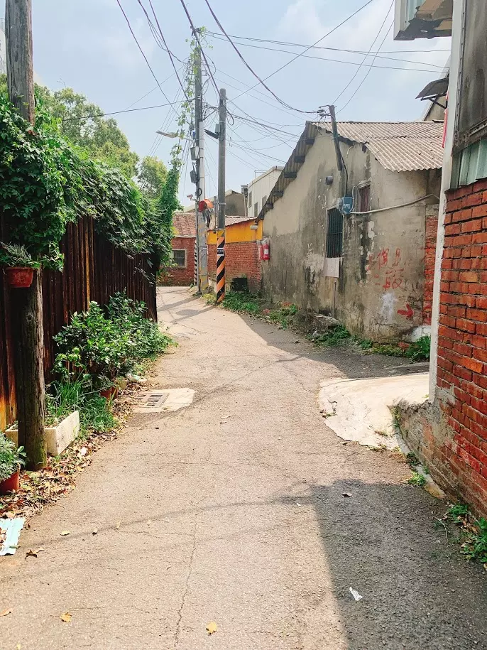 【新竹市景點】鄰近新竹科學園區熱鬧的光復路裡隱藏‧童年的秘密基地‧晴心樹屋‧飛行樹屋咖啡