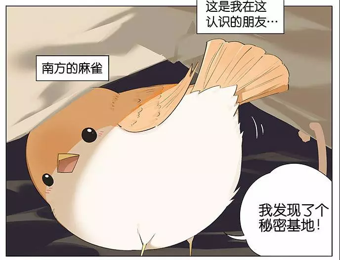 「南方的傲驕雁」遇上「北方的呆萌雀」最萌新作 下雨的超有愛反應害網友心動了!