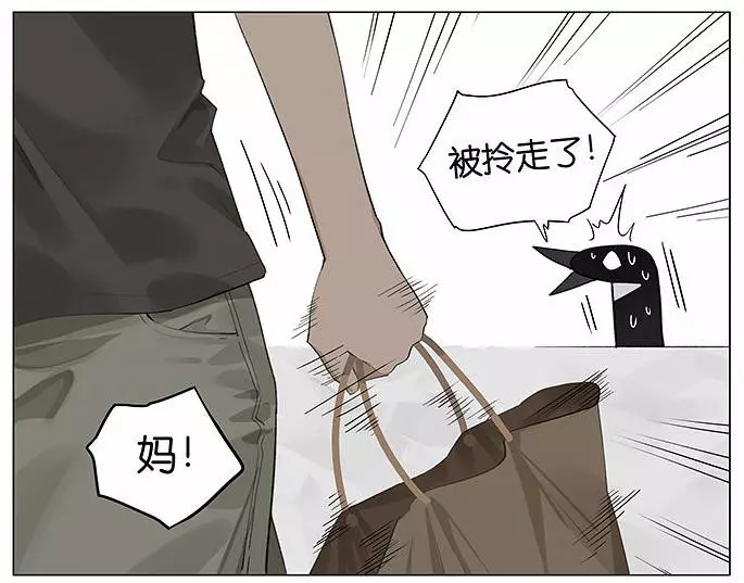 「南方的傲驕雁」遇上「北方的呆萌雀」最萌新作 下雨的超有愛反應害網友心動了!