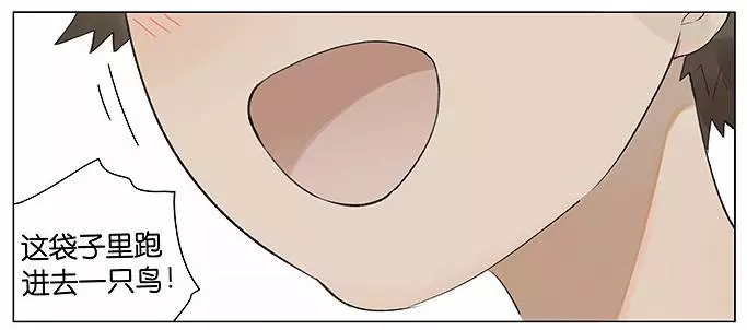 「南方的傲驕雁」遇上「北方的呆萌雀」最萌新作 下雨的超有愛反應害網友心動了!