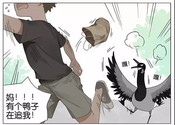 「南方的傲驕雁」遇上「北方的呆萌雀」最萌新作 下雨的超有愛反應害網友心動了!