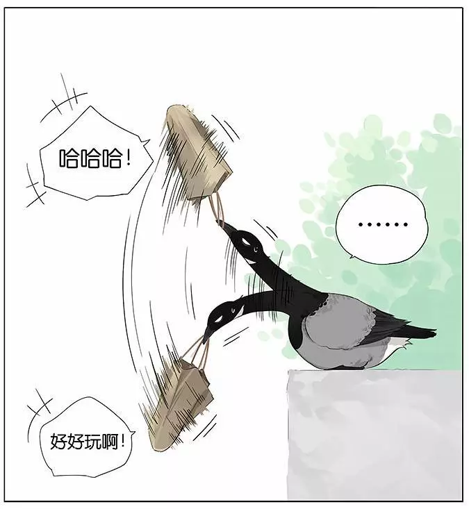 「南方的傲驕雁」遇上「北方的呆萌雀」最萌新作 下雨的超有愛反應害網友心動了!