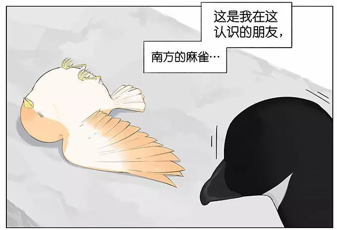 「南方的傲驕雁」遇上「北方的呆萌雀」最萌新作 下雨的超有愛反應害網友心動了!