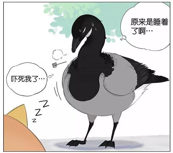 「南方的傲驕雁」遇上「北方的呆萌雀」最萌新作 下雨的超有愛反應害網友心動了!