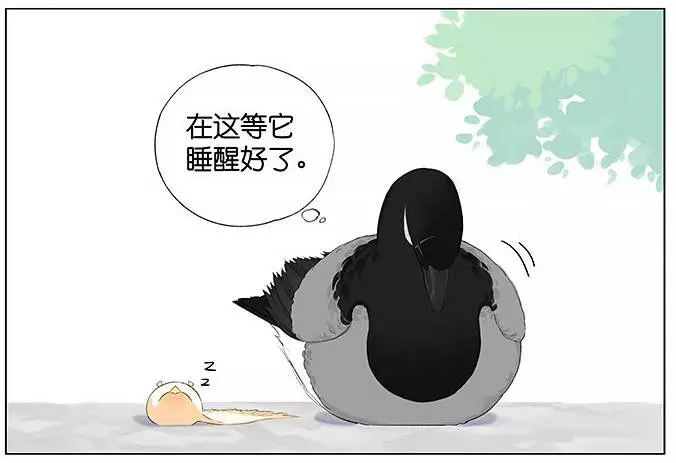 「南方的傲驕雁」遇上「北方的呆萌雀」最萌新作 下雨的超有愛反應害網友心動了!