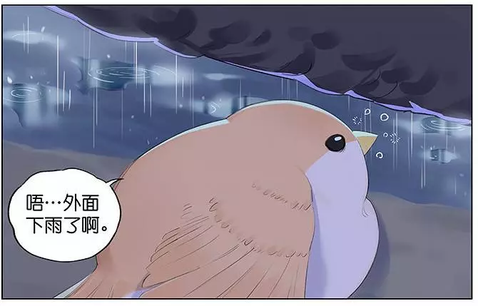 「南方的傲驕雁」遇上「北方的呆萌雀」最萌新作 下雨的超有愛反應害網友心動了!