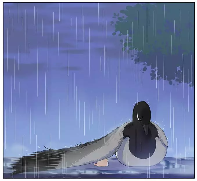 「南方的傲驕雁」遇上「北方的呆萌雀」最萌新作 下雨的超有愛反應害網友心動了!