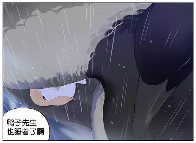 「南方的傲驕雁」遇上「北方的呆萌雀」最萌新作 下雨的超有愛反應害網友心動了!