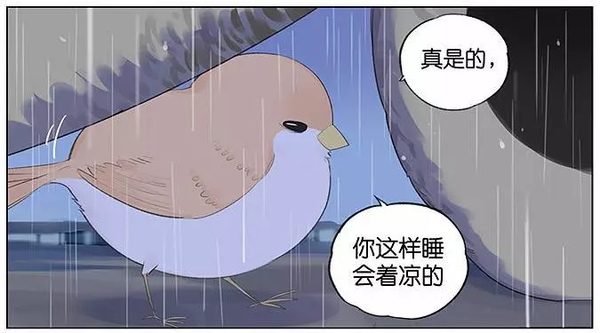 「南方的傲驕雁」遇上「北方的呆萌雀」最萌新作 下雨的超有愛反應害網友心動了!