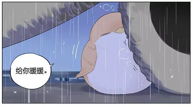 「南方的傲驕雁」遇上「北方的呆萌雀」最萌新作 下雨的超有愛反應害網友心動了!